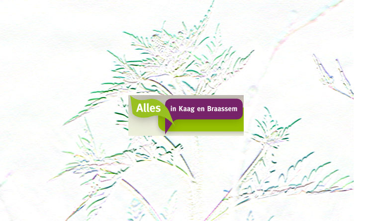 Hooikoortsseizoen met twee maanden verlegd door ambrosiaplant