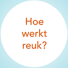 Hoe werkt reuk? | Neus.nu | Platform van KNO-artsen