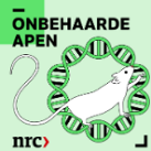 Onbehaarde apen | Neus.nu | Platform van KNO-artsen