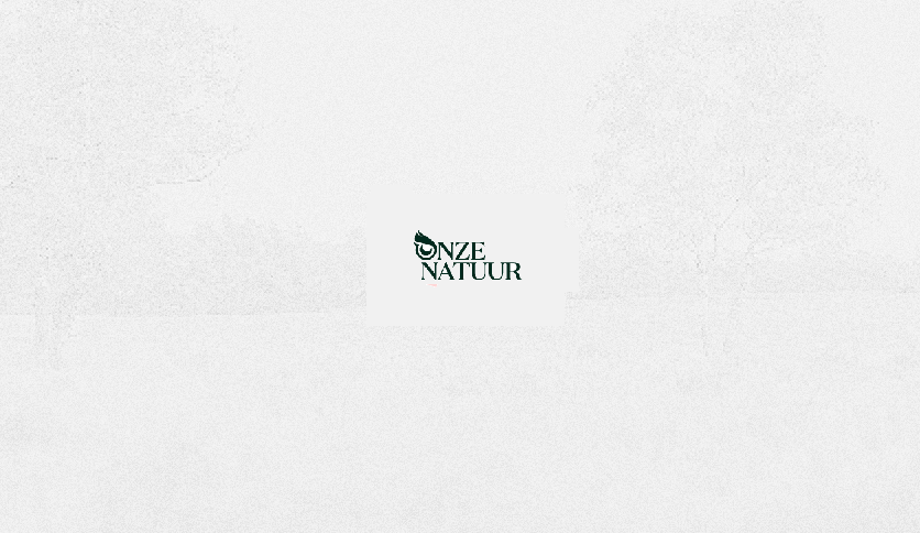 Gezondheid! Alles wat je moet weten over pollen en hooikoorts