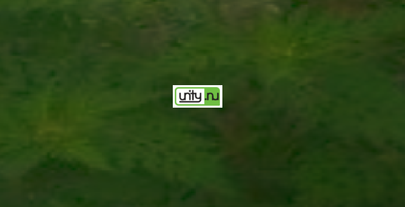 GGD waarschuwt voor opmars ‘superhooikoortsplant’