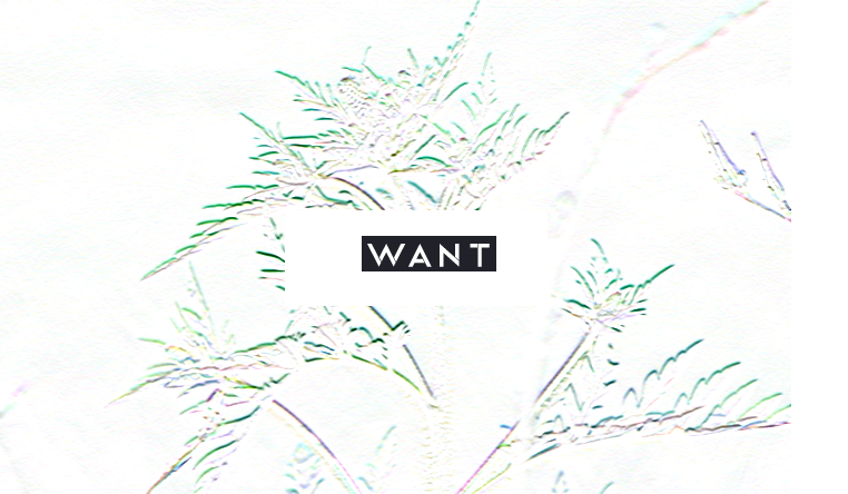 5 magistrale tips om die hooikoorts eens en voor altijd te tackelen