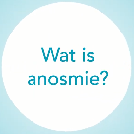 Wat is anosmie? | Neus.nu | Platform van KNO-artsen