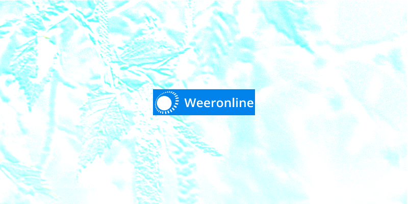 Hieraan herken je een bijholteontsteking